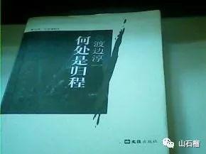 读后感 | 王静 ：《何处是归程》阅读有感