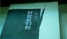 读后感 | 王静 ：《何处是归程》阅读有感