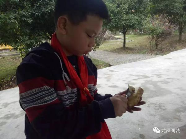 【龙城小将】来自湘西有为作文书法班一小朋友的作文 《我的妈妈》 1