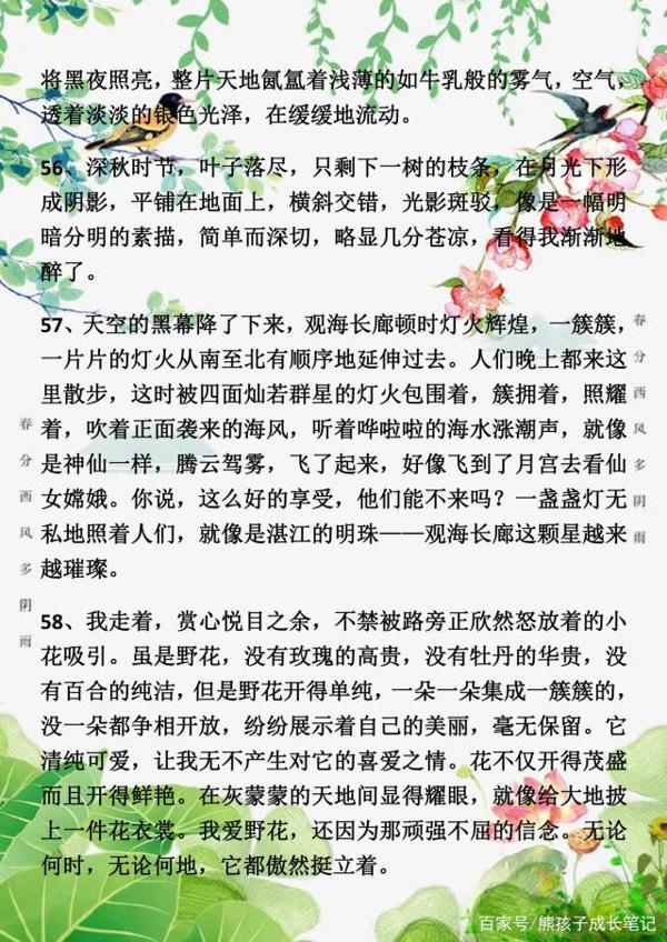 小学语文:满分作文写景开头、结尾方法,教小同学写出高分作文! 10