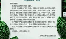 来自眼睛的一封信-保护视力作文700字