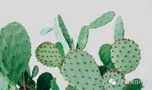 【四年级优秀同步作文推荐榜】王钰涵/旭日教育四年级作文班