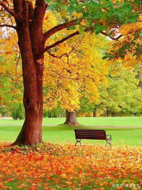 作文集中笔墨，思想集中，主题更突出！