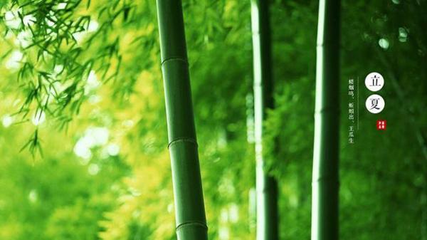 二十四节气写进小学生作文,高端大气上档次,语文老师:文化人儿 1