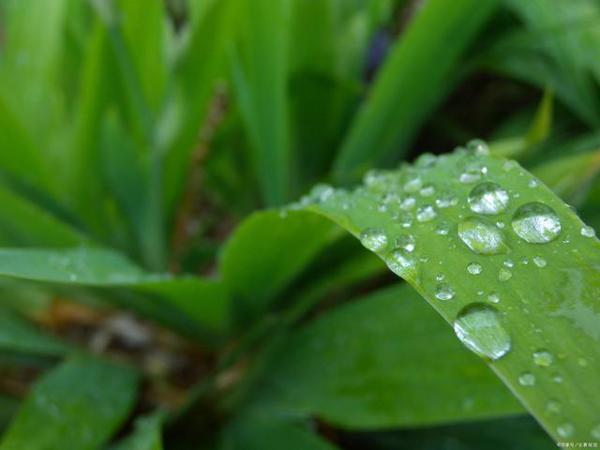 学生作文｜抗击疫情 1