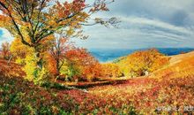 要想写好作文，离不开素材积累，请收藏关于秋天的好句好段