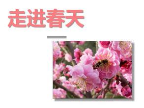 走进春天_600字
