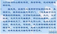 一个悲惨的端午 悲惨的端午作文400字