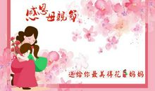 我帮妈妈做家务-关于母亲节的作文500字