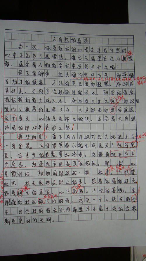 守望同一片星光 关于友谊的作文800字