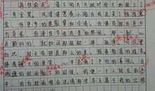 守望同一片星光 关于友谊的作文800字