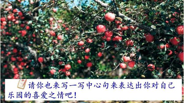 【同步作文】四年级第一单元作文：《我的乐园》 29