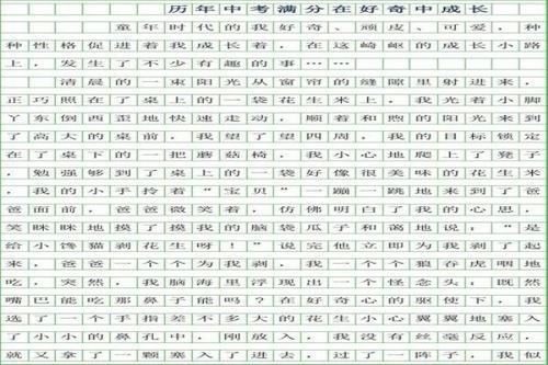 中考生考验 初中记叙文1000字