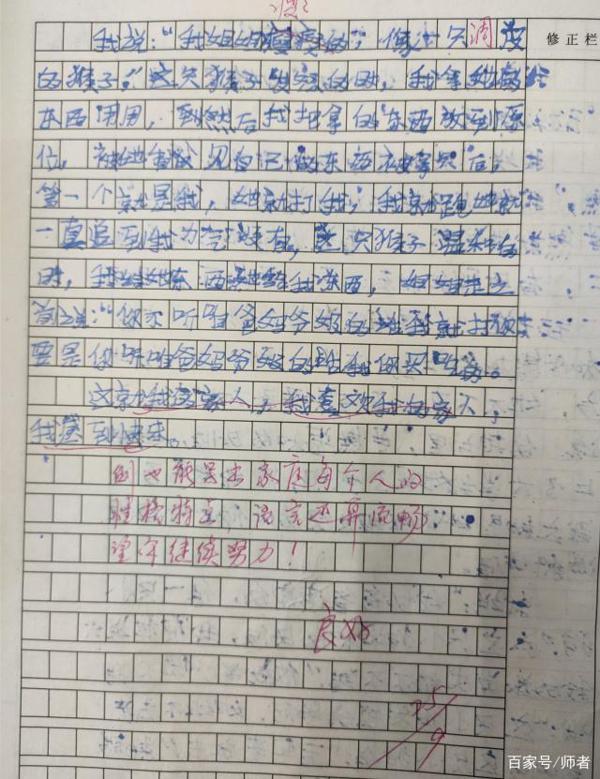 小学生作文“小小动物园”形象生动,教师:写出了家人的特点 2