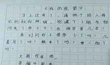 小小的愿望-我的愿望作文400字