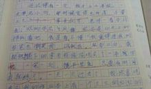 我与线上教育-初中写事作文800字