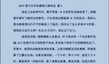 高中军训的心得体会800字