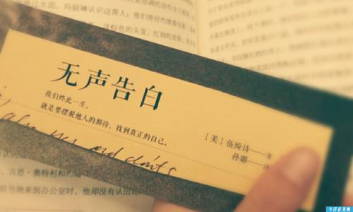 无声告白读后感范文