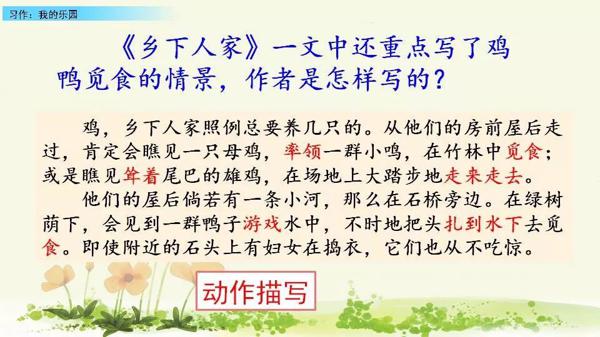 【同步作文】四年级第一单元作文：《我的乐园》 24