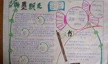 书香伴我成长-我爱读书作文500字