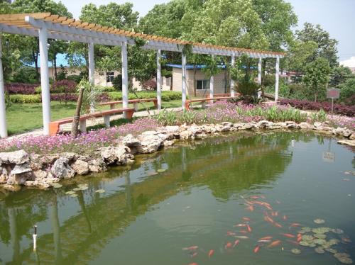 校园美景 美丽的校园作文300字