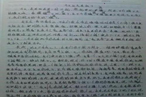老人-写事的作文1000字