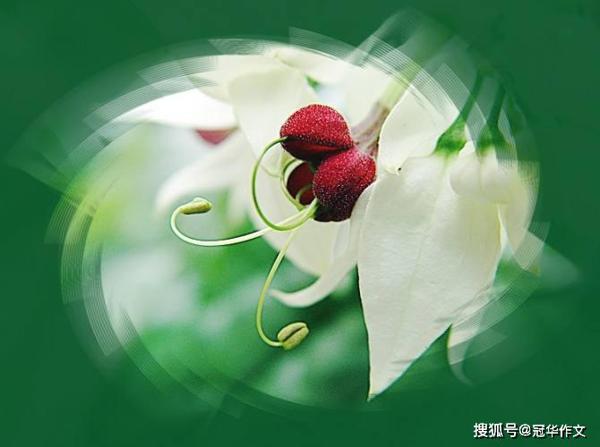 【备考高考专家精典点拨(作文篇)】作文行文技巧及佳作点评之四:高雅境界
