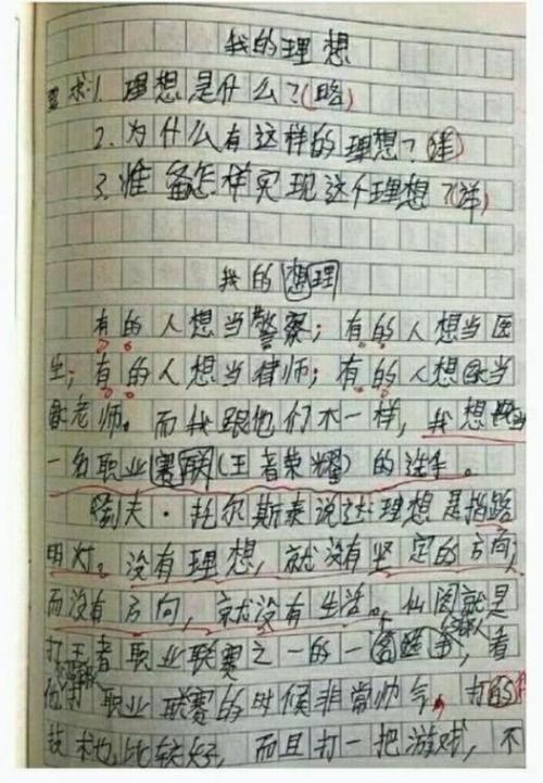 关于兴趣的作文450字