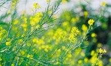 原来我没懂中考作文