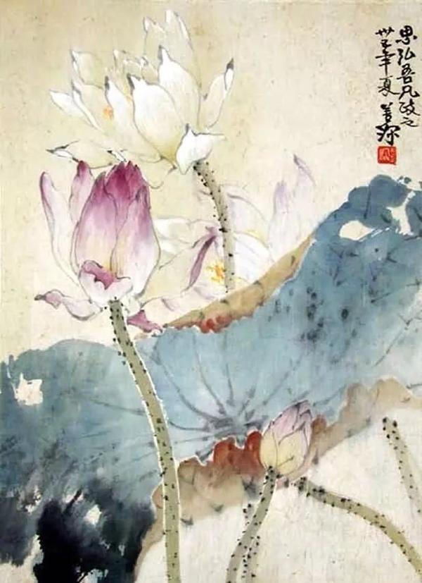 作文展 ▏ 全国优秀小学生作文欣赏