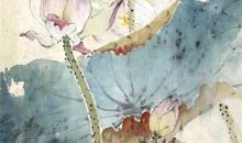 作文展 ▏ 全国优秀小学生作文欣赏