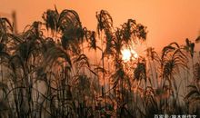 六年级作文：那一刻我的世界震颤了