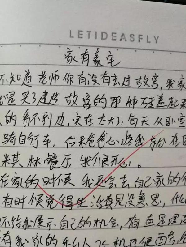 小学生作文太敢写!组图体验,网友:同是义务教育为何你如此优秀 8