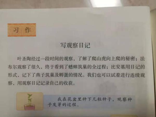 (推荐收藏)四年级语文第三次作文:写观察日记之植物篇