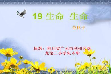 《生命生命》优秀教案设计