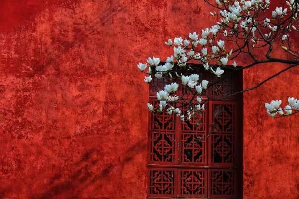 作文素材：收集一些与冬天有关的句子—— 2