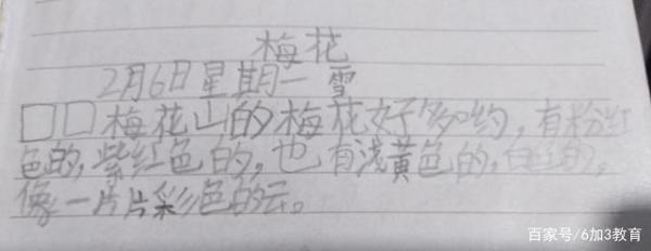 小学生“最美日记”,老师:人才,何愁作文写不好! 2