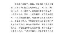 我们班的易爆物优秀作文600字