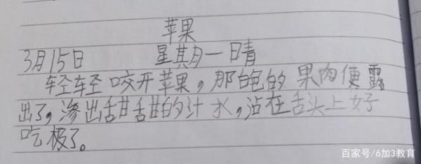 小学生“最美日记”,老师:人才,何愁作文写不好! 4