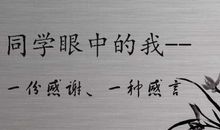 顽强的紫竹 五年级记叙文400字
