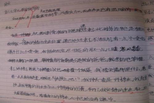 遇见-关于知己的作文600字