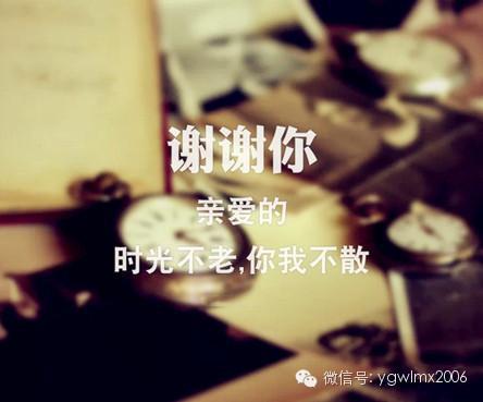 送给朋友的“谢谢” 写给朋友的信600字
