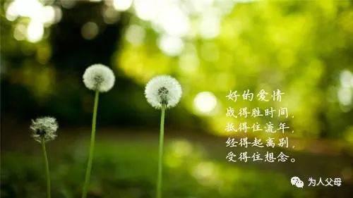 那一愿只能与你长相厮守散文