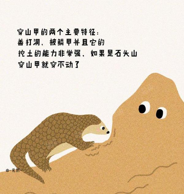 拒绝野味丨材料作文“敬畏生命”