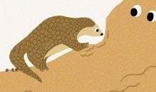 拒绝野味丨材料作文“敬畏生命”