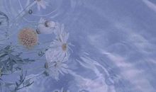 用在作文里的美好句子：希望你继续兴致盎然地与世界交手