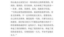 照片背后的故事周记