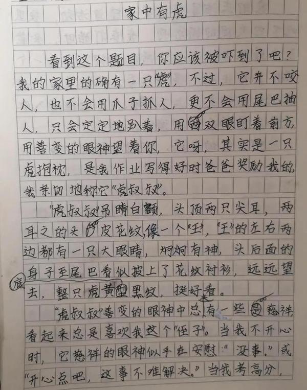孩子的好作文来自家的安全感!心中有温暖,笔下就会有欢喜