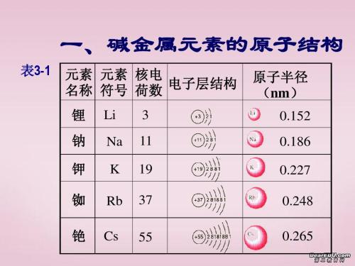 《碱金属元素》化学教案