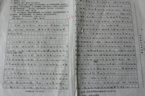 伏地魔的心声作文
